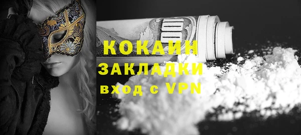 ПСИЛОЦИБИНОВЫЕ ГРИБЫ Каменка