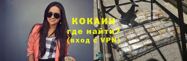 ПСИЛОЦИБИНОВЫЕ ГРИБЫ Каменка