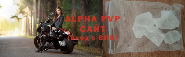 ПСИЛОЦИБИНОВЫЕ ГРИБЫ Каменка