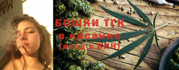 ПСИЛОЦИБИНОВЫЕ ГРИБЫ Каменка