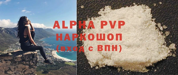 хмурый Каменногорск