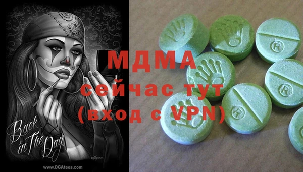 ПСИЛОЦИБИНОВЫЕ ГРИБЫ Каменка
