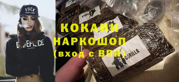 ПСИЛОЦИБИНОВЫЕ ГРИБЫ Каменка