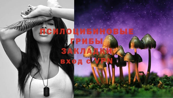 ПСИЛОЦИБИНОВЫЕ ГРИБЫ Каменка