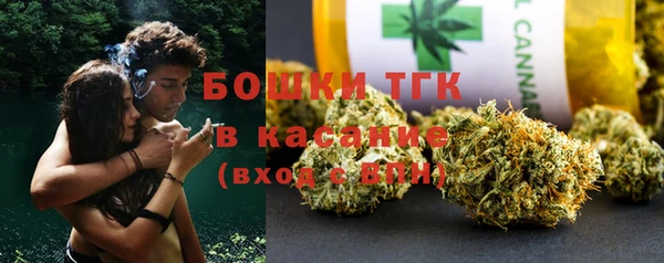 хмурый Каменногорск