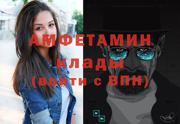 ПСИЛОЦИБИНОВЫЕ ГРИБЫ Каменка