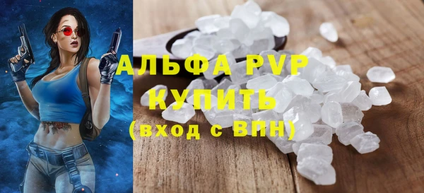 ПСИЛОЦИБИНОВЫЕ ГРИБЫ Каменка
