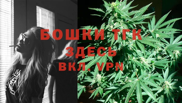 хмурый Каменногорск