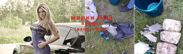 хмурый Каменногорск